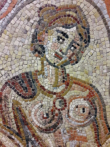 Detail of a 4th or 5th century mosaic discovered in 1833 in a Roman villa in Saint-Rustice (Haute-Garonne, Occitanie)