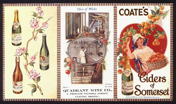 Advertisement for Coates ciders (colour litho)