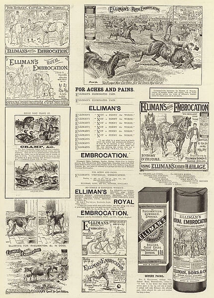 Advertisement, Ellimans Royal Embrocation (engraving)
