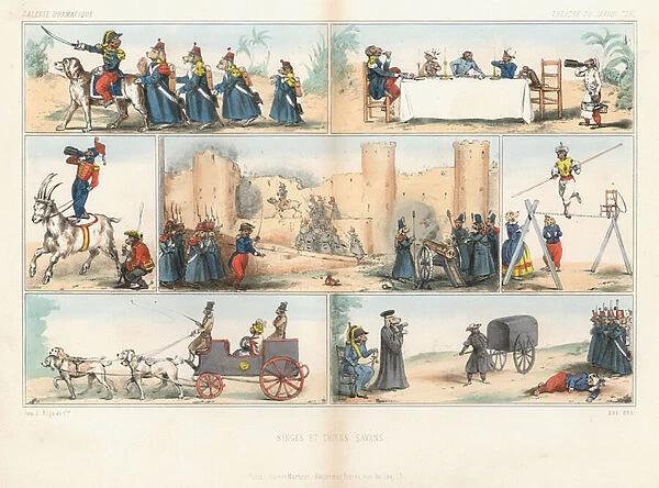 Anthropomorphic dogs and monkeys (coloured engraving)