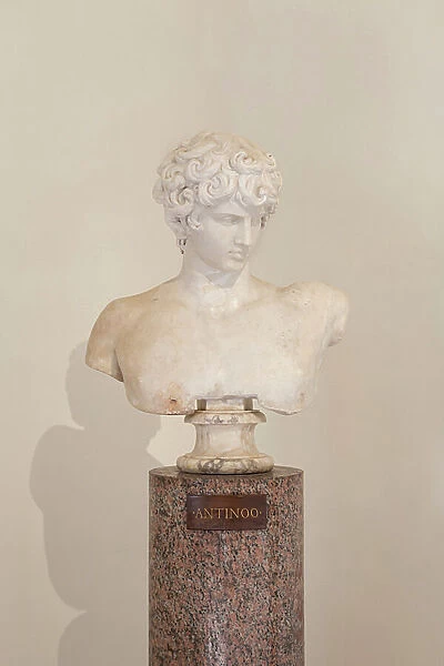 Antinous, Ludovisi collection (carrara marble)