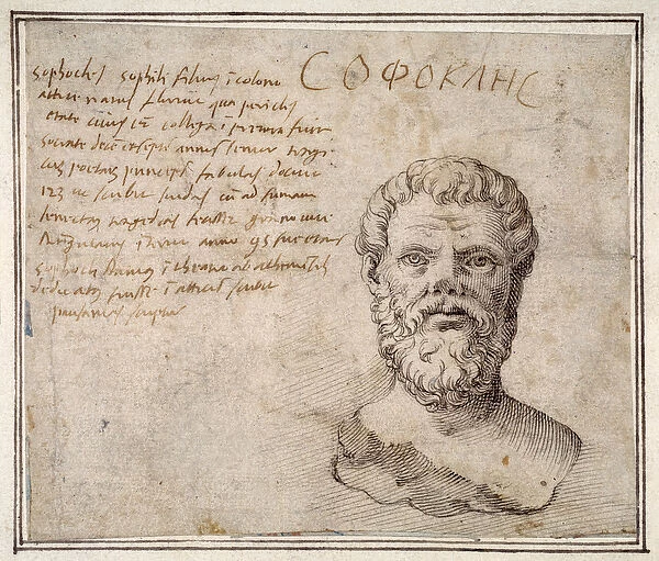 Antique bust of Sophocles, annotated, after Fulvio Orsini (pen and ink on paper)