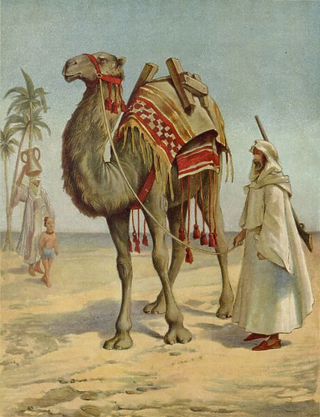 An Arab Merchant (chromolitho)