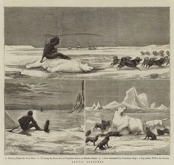 Arctic Sketches (engraving)