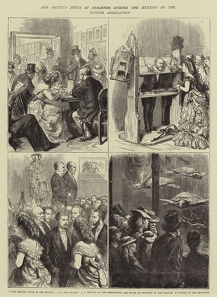 Our Artists Notes at Brighton, during the Meeting of the British Association (engraving)
