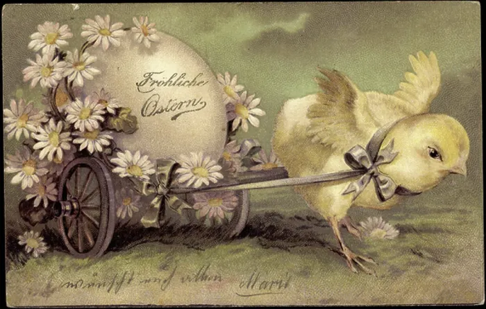 Framed Print : Easter Chick with Egg Print Framed Print : Easter Chick with Egg Print