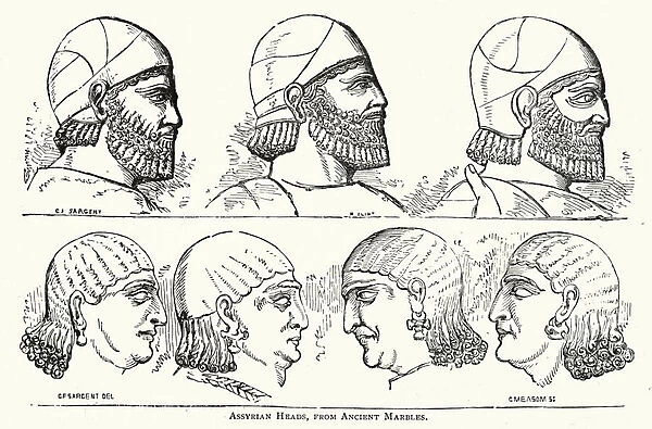 Assyrian heads, from ancient marbles (engraving)