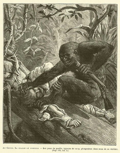 Au Congo, La Chasse Au Gorille (engraving)