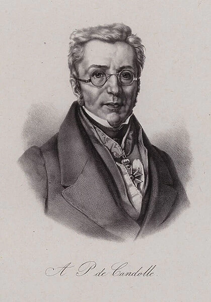 Augustin Pyramus de Candolle, Swiss botanist (engraving)
