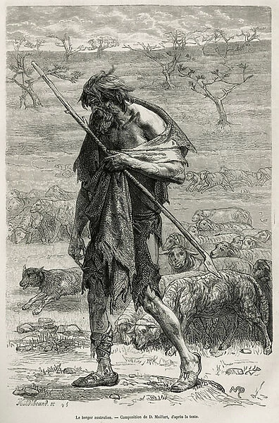 The Australian shepherd, engraved after a drawing by D. Maillart