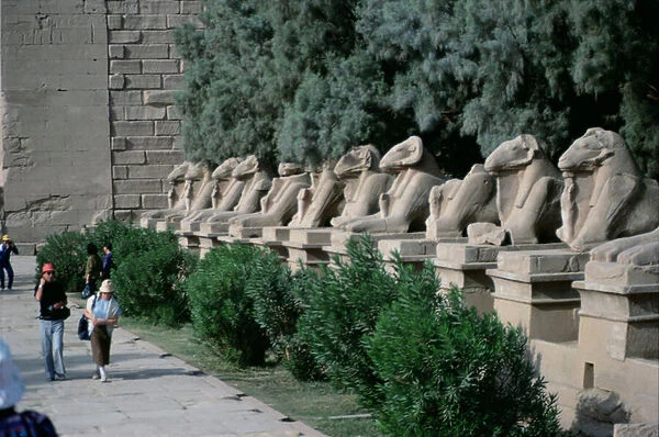 Avenue of ram-headed sphinxes lining the Processional Way to the Great Temple of Amun