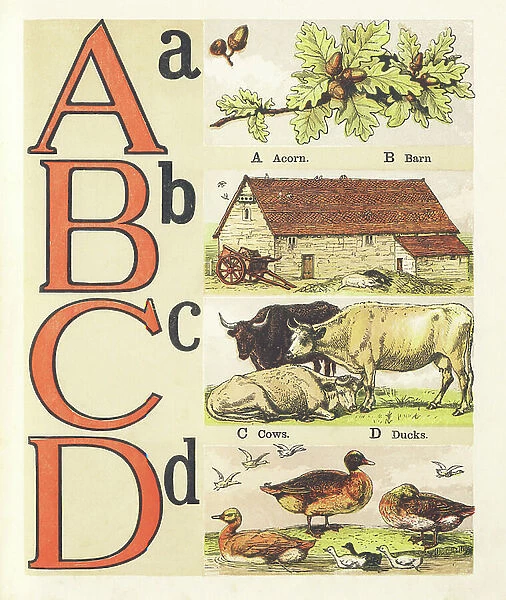 A B C D : acorn, barn, cows, ducks, 1872 (illustration)
