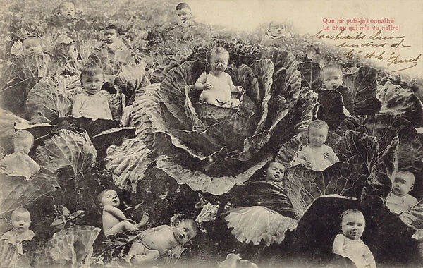 Babies in the cabbage patch (photocollage)
