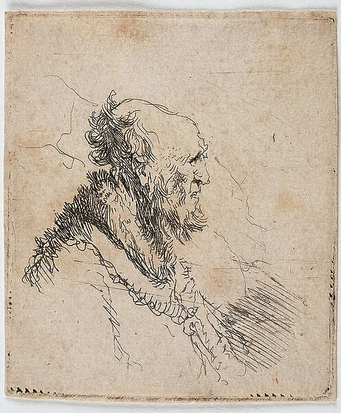 Bald man with a short beard, profile portrait, 1635 (Etching)