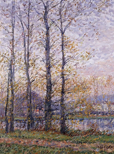 The Banks of the Oise at Precy; Les Bords de l Oise a Precy, (oil on canvas)
