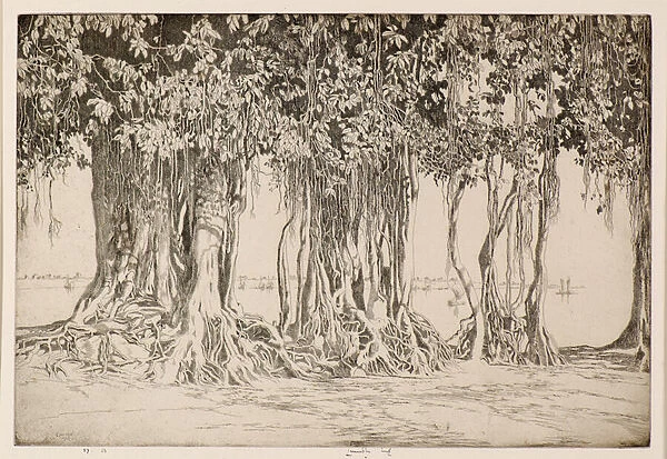 The Banyan Tree, 1927 (etching)