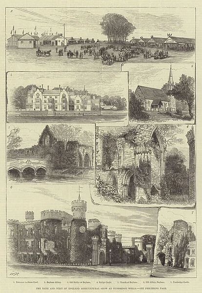 The Bath and West of England Agricultural Show at Tunbridge Wells (engraving)