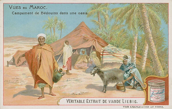 Bedouin Camp at an Oasis (chromolitho)