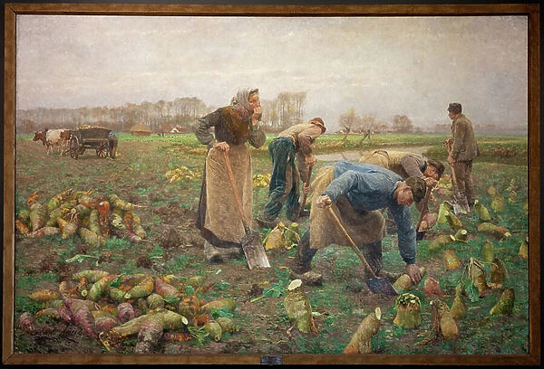 Beet Harvest, 1890 (painting)