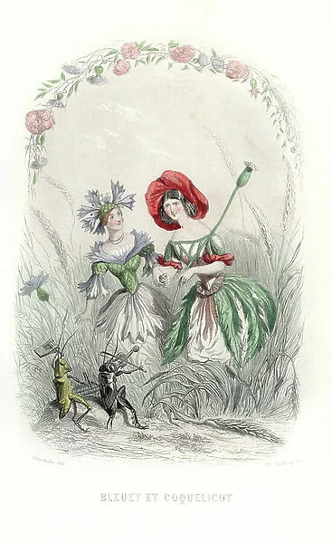 The blueberry and poppy fees walk in a field, with musician grasshoppers - Eau forte by Charles Geoffroy (1819-1882), from an illustration by Jean Ignace Isidore Gerard dit J.J.J.Granville (1803-1847), for Les fleurs animees