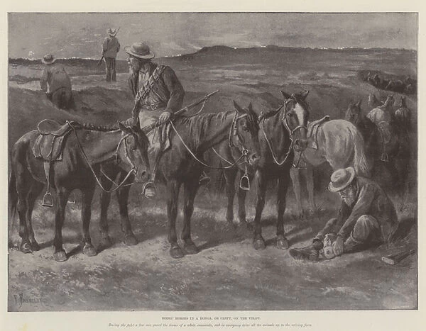 Boers Horses in a Donga, or Cleft, on the Veldt (litho)