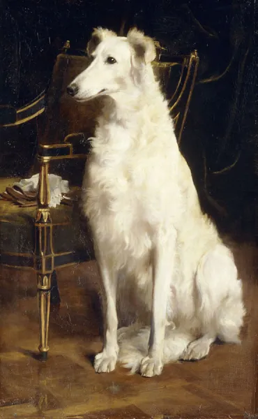 A Borzoi by a Chair, (oil on canvas)