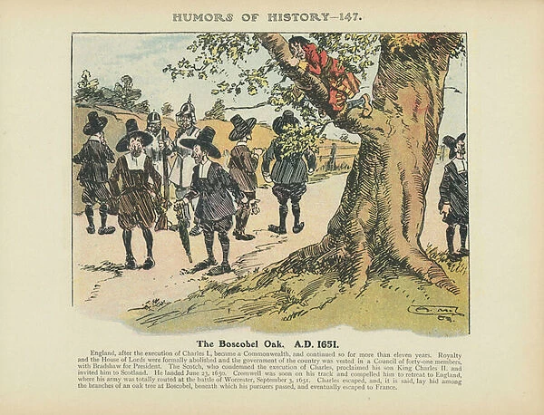 The Boscobel Oak. A. D. 1651 (colour litho)