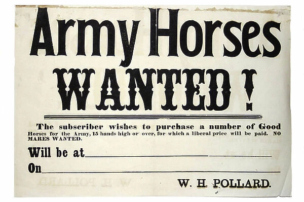 Broadside for buying Army horses