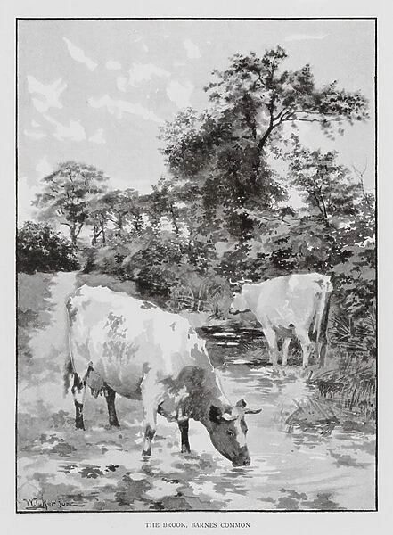 The Brook, Barnes Common (litho)