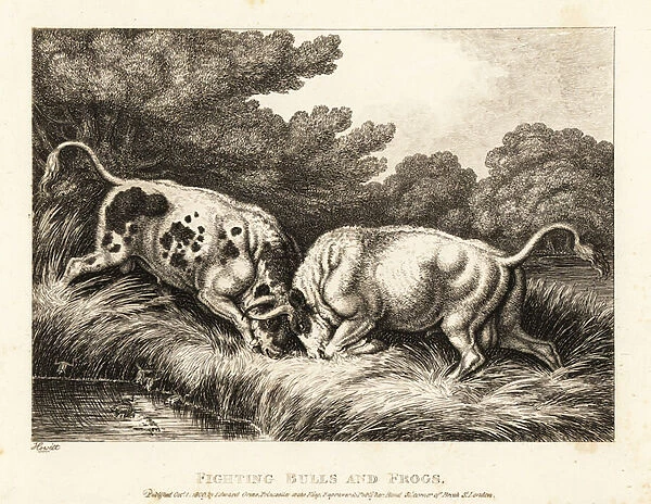 Two bulls locking horns near a pond full of frogs. 1811 (etching)