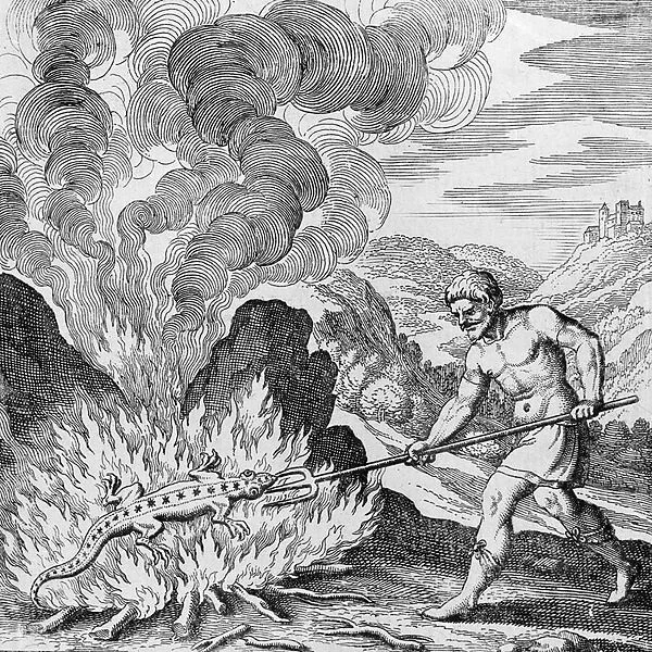 Burning a salamander from Musaeum Hermeticum, 1678 (engraving)