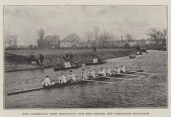The Cambridge Crew practising for the Oxford and Cambridge Boat-Race (b  /  w photo)