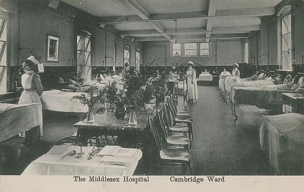 Cambridge Ward, The Middlesex Hospital, London. Postcard sent 16 August 1913