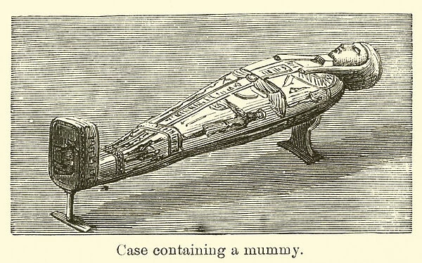 Case containing a mummy (engraving)