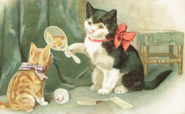 A cat holding a hand mirror (colour litho)