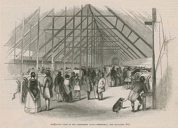 The Cattle Show of the Smithfield Club (engraving)