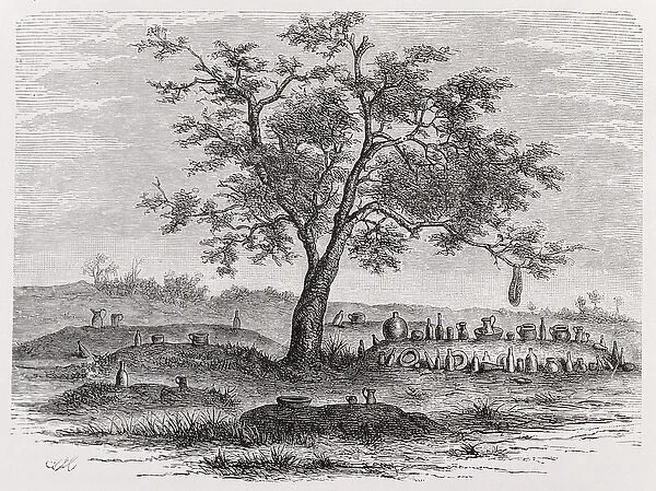 Cemetery and sacred tree in Mbinda, from The History of Mankind, Vol. 1