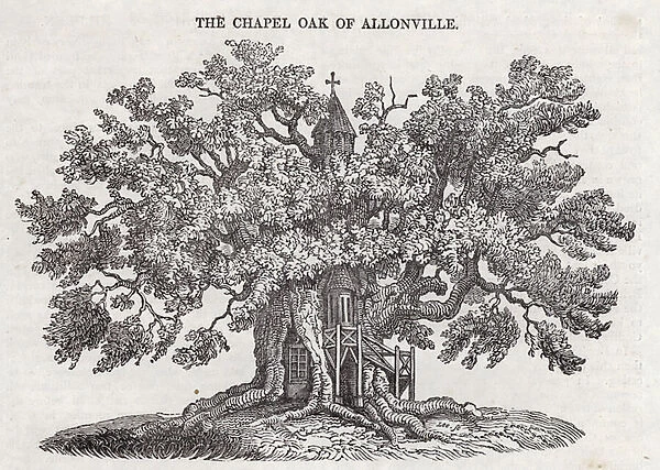 The Chapel Oak of Allonville (engraving)
