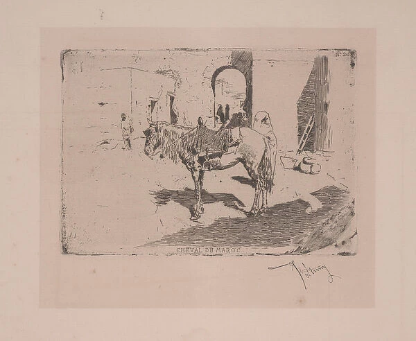 Cheval du Maroc (etching)