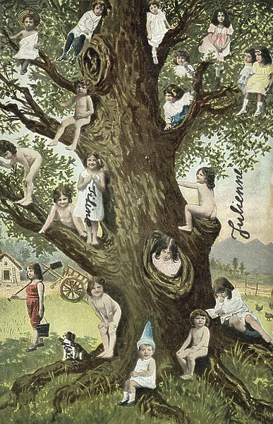 Children climbing tree (colour photo)