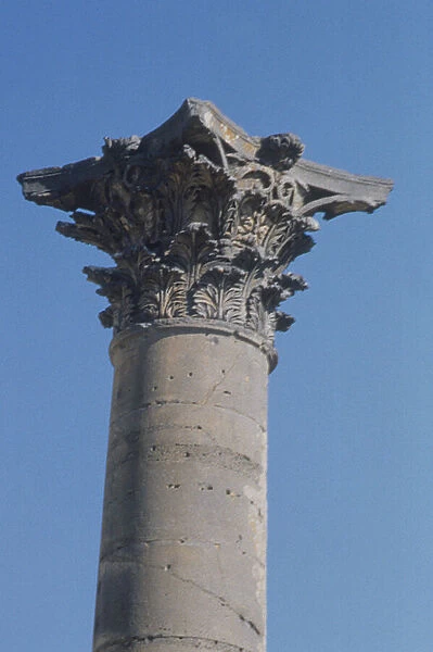 Column with a Corinthian capital from the nymphaeum, Roman, 2nd century (photo)