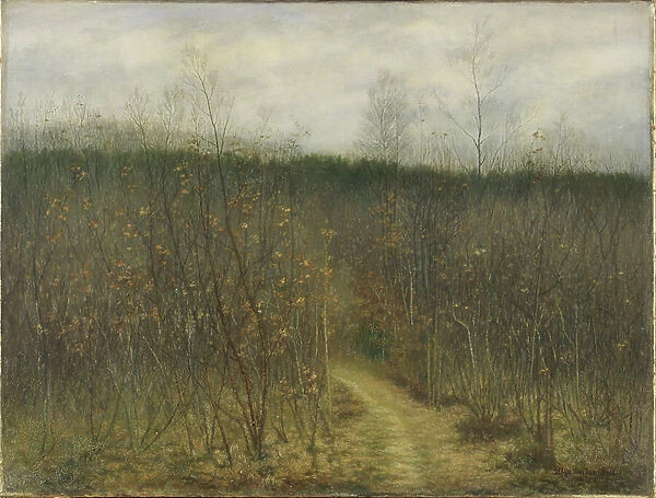 Coppice at Sint-Martens-Latem, 1898 (oil on canvas)