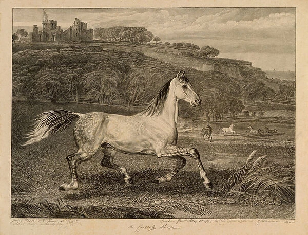 Cossack Horse, from Celebrated Horses, a set of fourteen racing prints