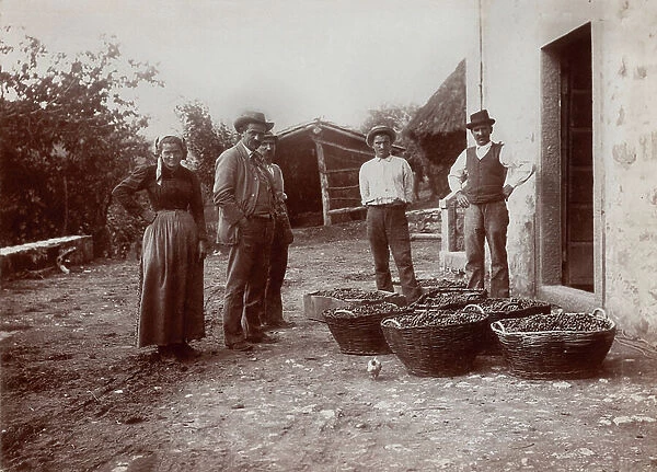 Country family in Massa, 1901 (print on double-weight paper)