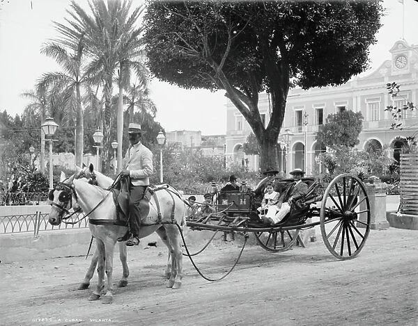 Cuban volanta, c. 1904 (b / w photo)