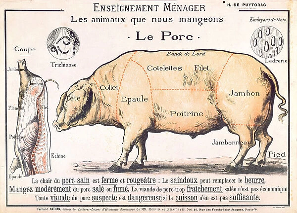 Cuts of Pork, illustration from a French Domestic Science Manual by H
