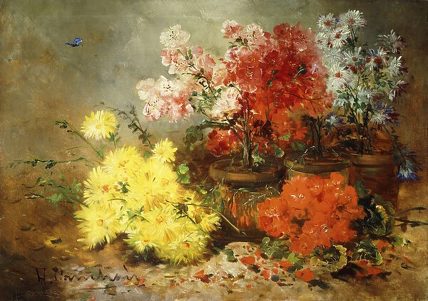 Daisies, Begonia, and Other Flowers in Pots, (oil on canvas)