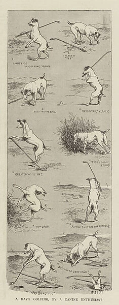 A Days Golfing, by a Canine Enthusiast (engraving)
