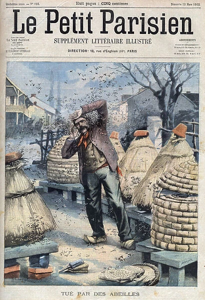 Death of a beekeeper attacked by bees extracting honey from the hives in Quincey near Nuits Saint Georges (Nuits-Saint-Georges) in Cote d Or (Cote-d Or), France in 'Le Petit Parisien', 1902 (engraving)