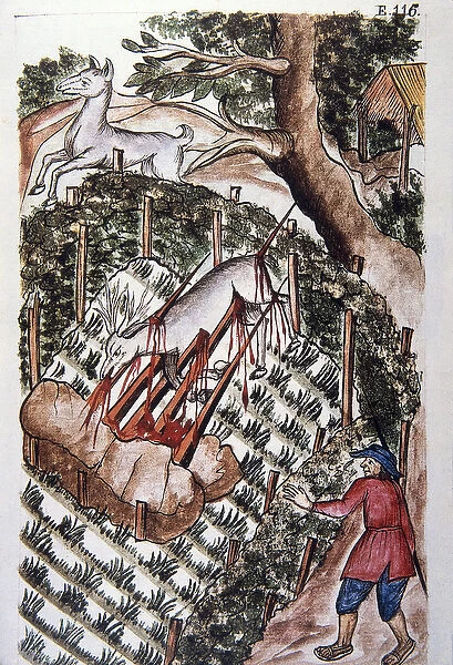 A deer falls into the trap of hunters, from the book 'Trujillo del Peru'
